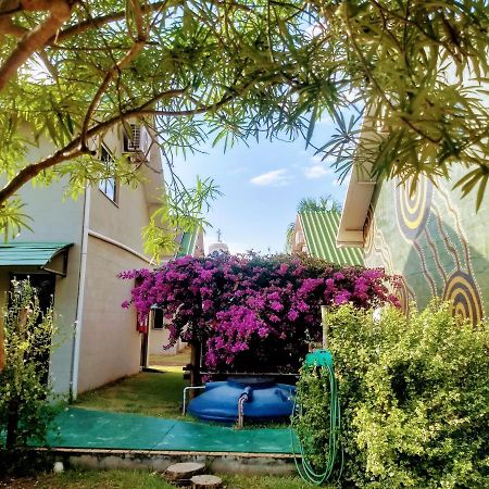 Pousada Nativos ميراندا المظهر الخارجي الصورة